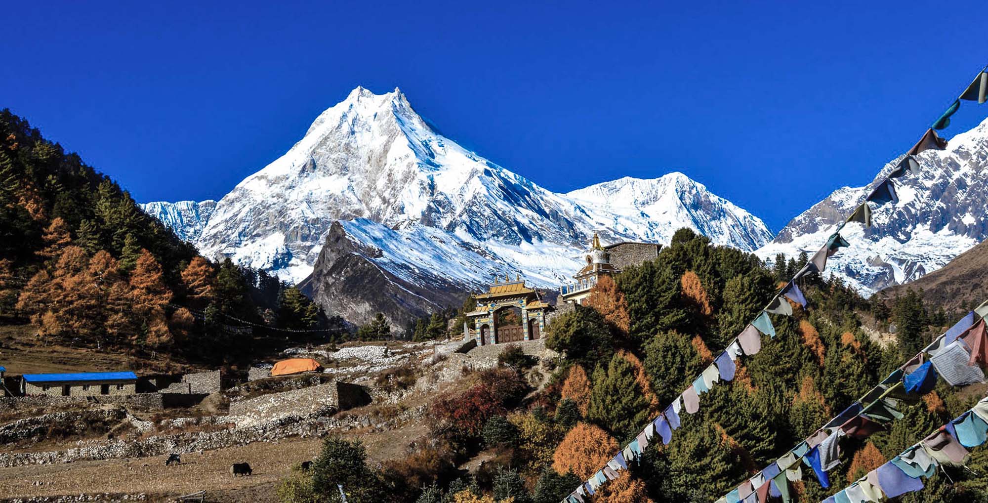 Горы Гималаи в Индии для туристов