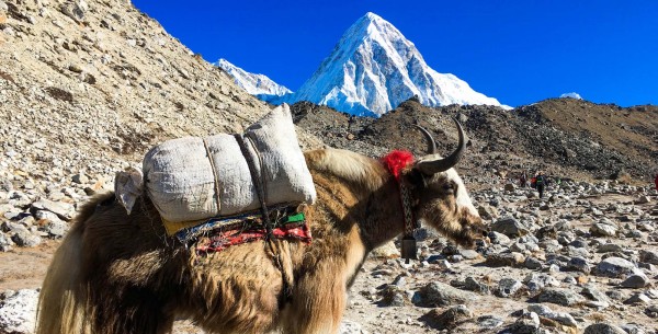 Everestpano – Everest View Panorama Trek