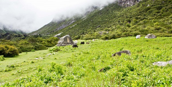 Lapchi Hermitage Trek – photo 3