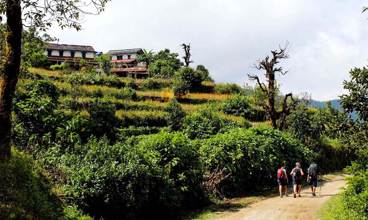 Six Best Summer treks in Nepal