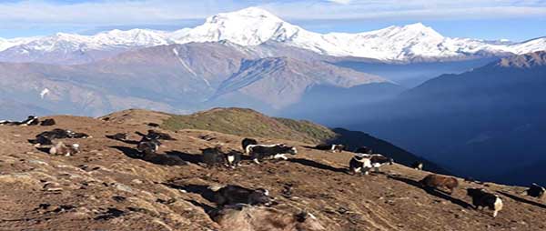 Mohare and Khopra Danda Trek