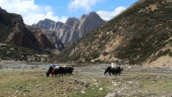 Inner Dolpo Circuit Trek – photo 1